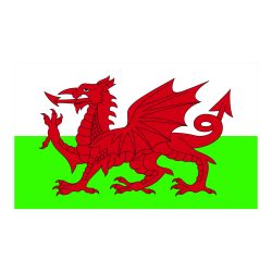 Wales Water Polo Training Kit