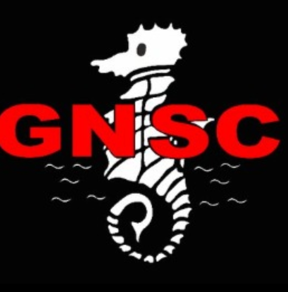 Gravesend & Northfleet Swimming Club