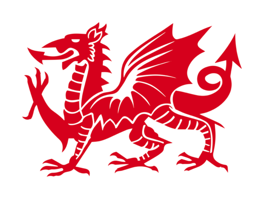 Wales Junior Women Water Polo