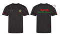 Wales Water Polo Training Kit- Performance T’shirt – Umiko image 0