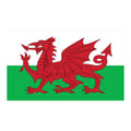 Wales: Team Bundle Offer - Hoodie / T'shirt / Shorts image 0