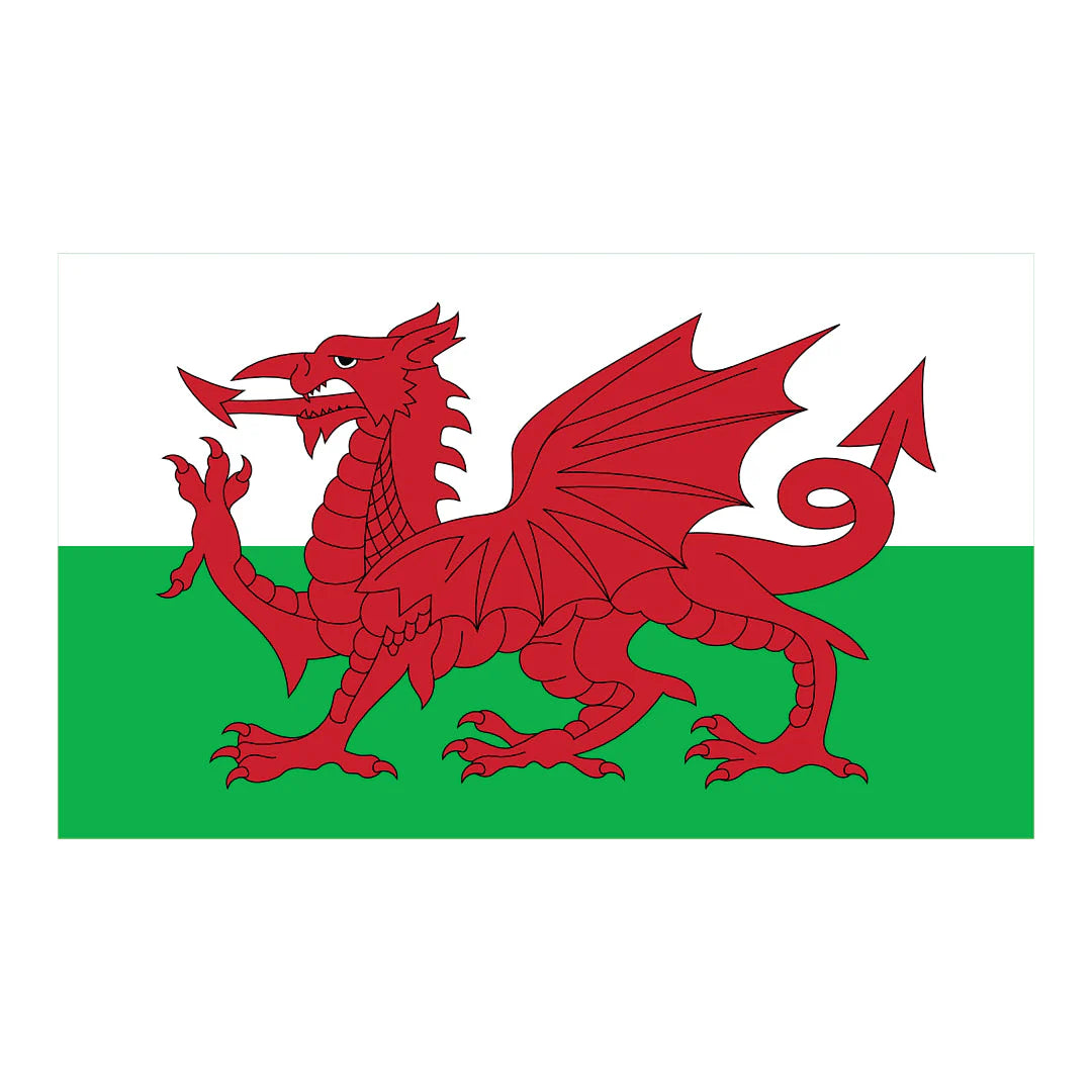 Wales Team Bundle Offer - Hoodie / T-Shirt / Shorts