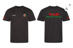 Wales: Team Bundle Offer - Hoodie / T'shirt / Shorts image 2